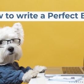 How to write a perfect blog