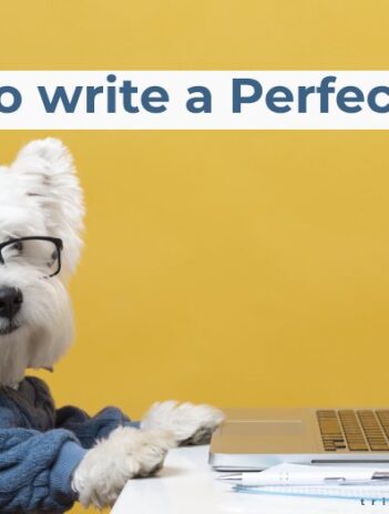 How to write a perfect blog