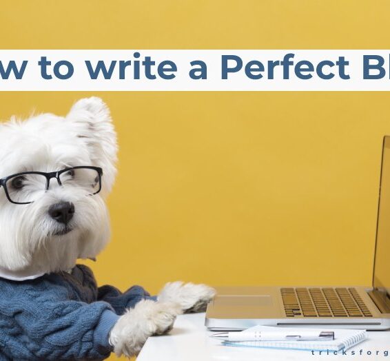How to write a perfect blog